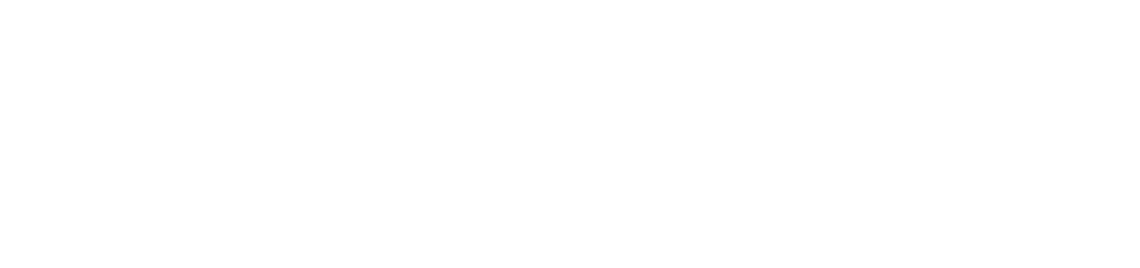 LISEGA